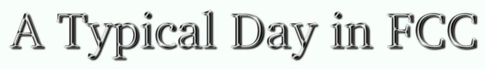 Typical Day logo