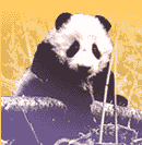 From worldwildlife.com