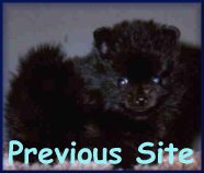 Main Pomeranian Ring