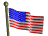 flagwave.gif (6589 bytes)