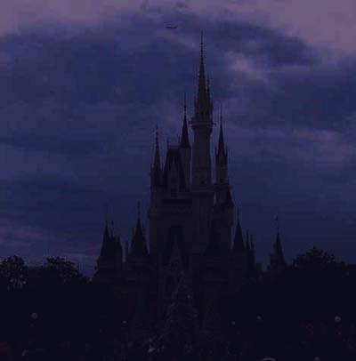 The Disney Land Castle