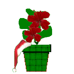 The Site Fights Spirit Flowers