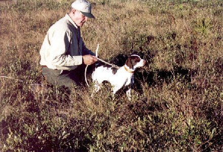 Blaze.jpg (865319 bytes)