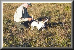 blazebutton.jpg (21023 bytes)