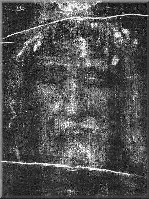 The reverse image
                of the face in The Shroud of Turin 