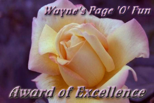 Wayne's Excellence Award