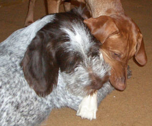 This is how you do it.