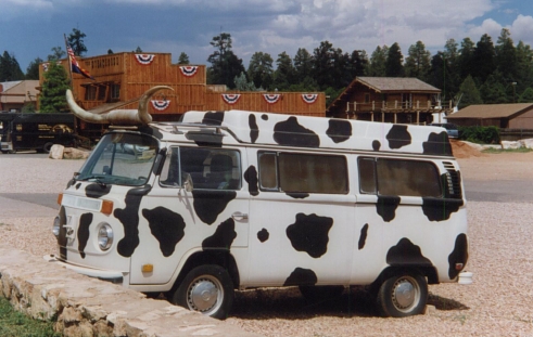 VW Cow
