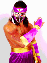 hayabusa.gif (4858 bytes)