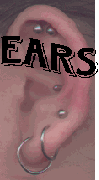 ears