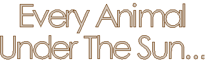 LaSolDeLeo's Every Animal Under The Sun, Animal Rights Pages