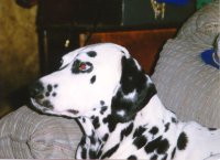 Dai-Dal's Lady Mathilda