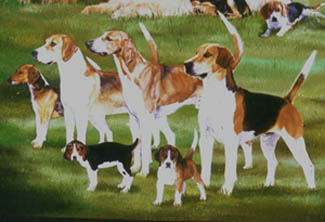 Foxhounds &copy1999 Linda Draper