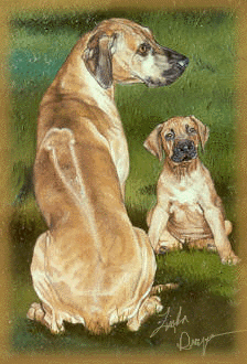 Rhodesian Ridgeback © 1999 Linda Draper