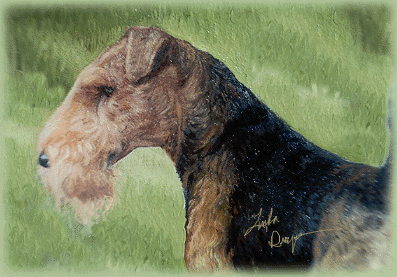 © 2000 Linda Draper