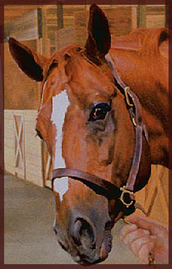 Pat Robertson's Stallion Detail © Draper 1999