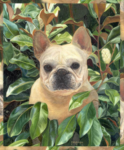 Portrait of Steel Magnolia (French Bulldog) size is 10 X 12 ;© 2002 Linda Draper