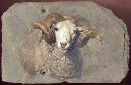 © 2002 Linda Draper