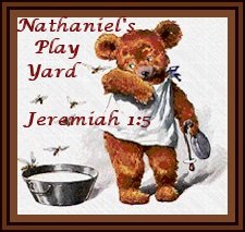 Nathaniel's Play Yard