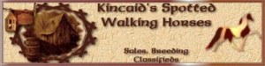 Kincaids