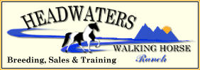 Headwaters Walking Horse Ranch