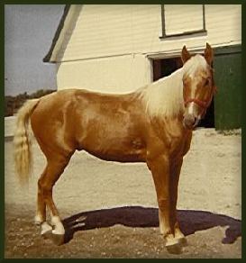 chance.jpg (16250 bytes)