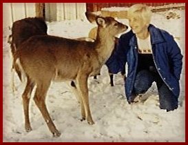 deer1.jpg (17633 bytes)