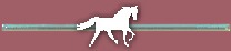 horsebar.jpg (2572 bytes)