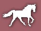horseicon.jpg (2026 bytes)