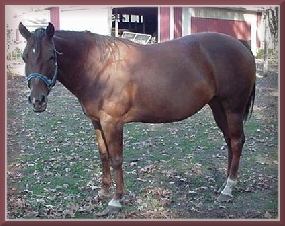 trudy1.jpg (19477 bytes)