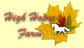 leafyellowHHF.jpg (12225 bytes)