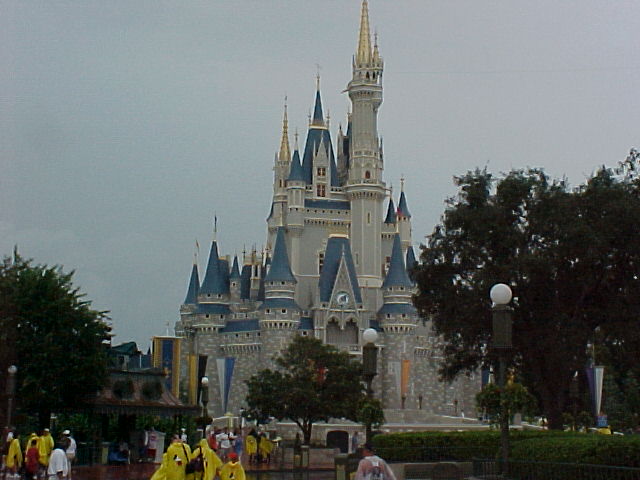 A dream is a wish your heart makes.