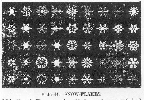 Plate 44 - Snowflakes