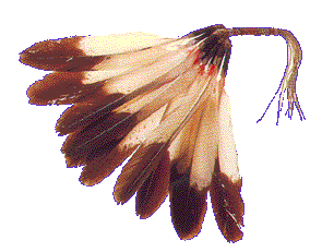 Fang.gif (16456 octets)