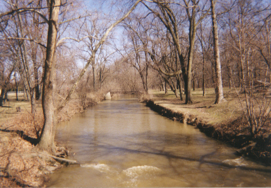 Cedar Creek at Eckhart Park Vehicle Bridge in Auburn