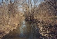 Picture of constructed channel.