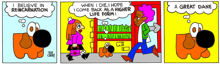 Those Funky Idiots:"Dogma"