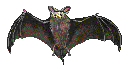 bat2.gif (2841 bytes)