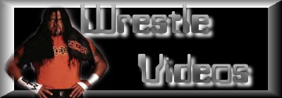 Welcome to Wrestle Videos!