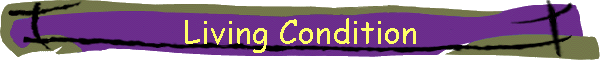 Living Condition