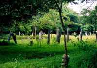 Asokaramaya, Pankuliya