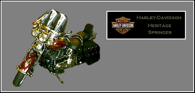 MIKE JACKSON'S SPRINGER PIC PAGE