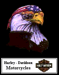 go to HARLEY DAVIDSON home site