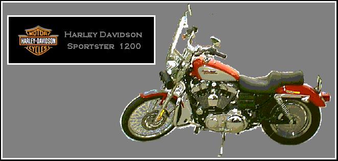 DAVE'S SPORTSTER PIC PAGE