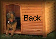 Back To Blake Shelton Index