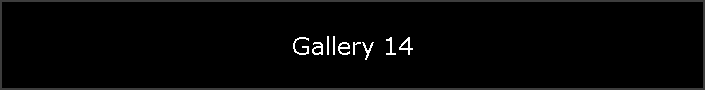 Gallery 14
