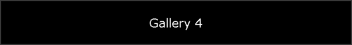 Gallery 4
