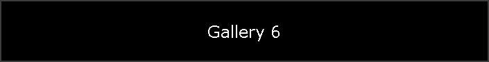 Gallery 6