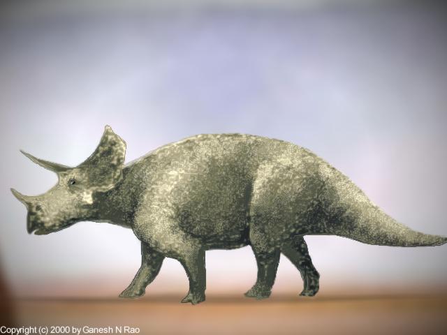 Triceratops horridus, By Ganesh N. Rao