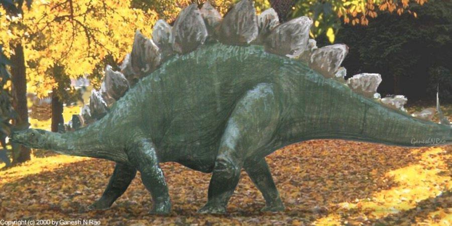 Stegosaurus, By Ganesh N Rao
